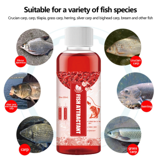 Original Chinese Fishing Liquid – 60ml